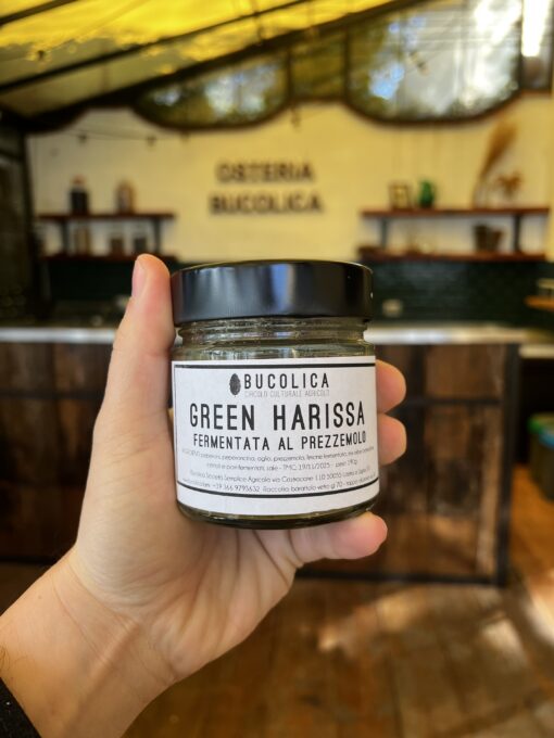 Green Harissa fermentata